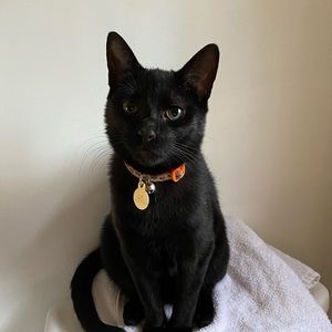 Meet your Posher, Maddie